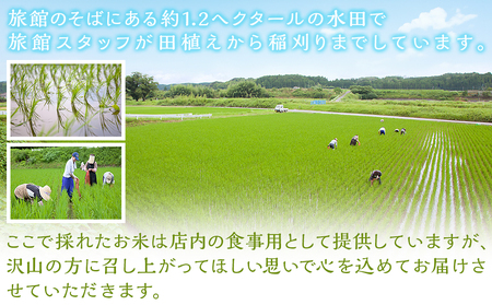 都城産ヒノヒカリ5kg【旅館・常盤荘のお米】_14-J703_(都城市) 都城産 ヒノヒカリ 5kg×1袋 令和7年産 新米 食事 食卓 もちもち 食感 あっさり