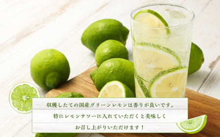 国産グリーンレモン 3kg【2026年10月上旬-11月下旬まで順次発送予定】｜  フルーツ 果物 柑橘 グリーンレモン レモン れもん 檸檬 国産 静岡県 菊川市