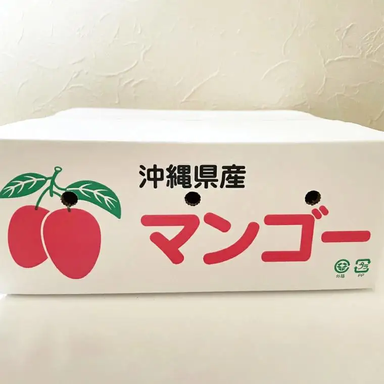 アップルマンゴー 約2kg(3～6玉)(家庭用) 