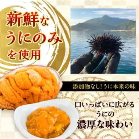 無添加焼うに2個・塩うに2本セット_うに ウニ 雲丹 焼きうに 海鮮 酒の肴 お取り寄せグルメ 食べ比べ おつまみ おにぎりの具 海鮮丼 無添加 プレゼント 贈答 おすすめ 人気 送料無料 岩手県 宮古市_【配送不可地域：離島】【1522348】