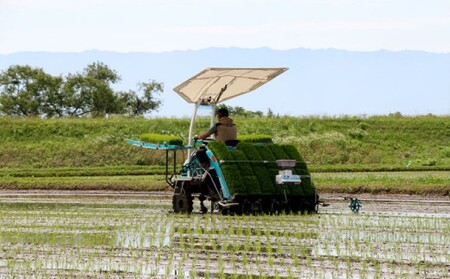 米 たごもり農園 特別栽培米 夢つくし 3kg 小郡産 栽培期間中 農薬不使用 お米 コメ 精米