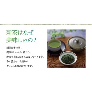 A1502.【新茶】八女星野茶（120g×2缶）／2026年5月～7月中旬頃発送【八女茶】
