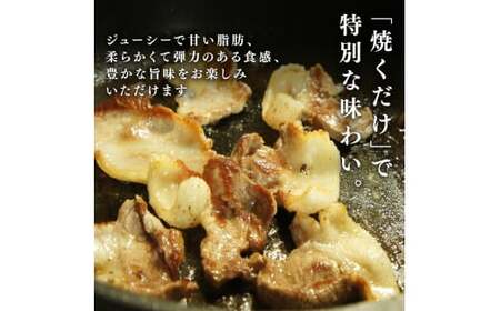 京丹波ぽーく モモ 切り落とし 500g 豚肉 ぶたにく モモ肉 モモ もも肉 ブタ ブタモモ肉 豚モモ肉 豚もも肉 お肉 肉 ポーク 贈答 ギフト お歳暮 お中元 冷凍便 自社ブランド 国産 ジューシー 京都ポーク 京都 京丹波町産 京丹波町