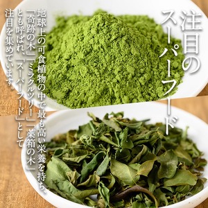 n285 モリンガ 茶 計16g・8g × 2個 国産 鹿児島 種子島 茶葉 ハーブ ハーブティー 【Bamboo Forest】