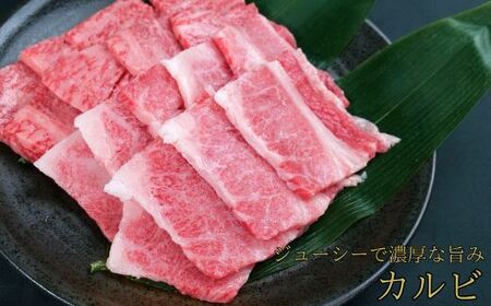しまね和牛 焼肉用3種セット （肩ロース、カルビ、モモ）セット 900g 【黒毛和牛 おすすめ 冷凍 和牛オリンピック 肉質NO.1 焼肉 セット 食べ比べ 牛肉 ロース モモ肉 国産 和牛 霜降り 赤身 ジューシー ギフト 贈り物 島根県 安来市】 【50-DC-63】