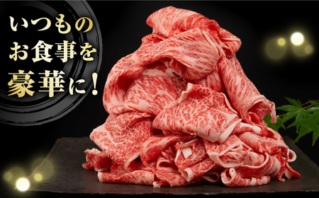【全6回定期便】長崎県産黒毛和牛切り落とし 760g（380×2）《壱岐市》【弥川畜産】 冷凍配送 肉 牛肉 スライス 和牛 すき焼き 牛丼 贈答 プレゼント 小分け [JGF006]