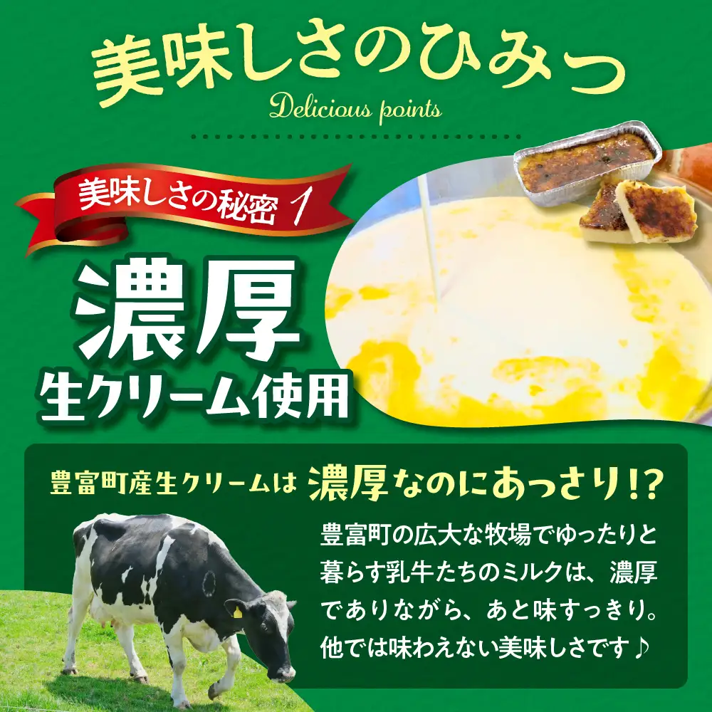 とよとみカタラーナ 10個【ハラペコmucca】 カタラーナ