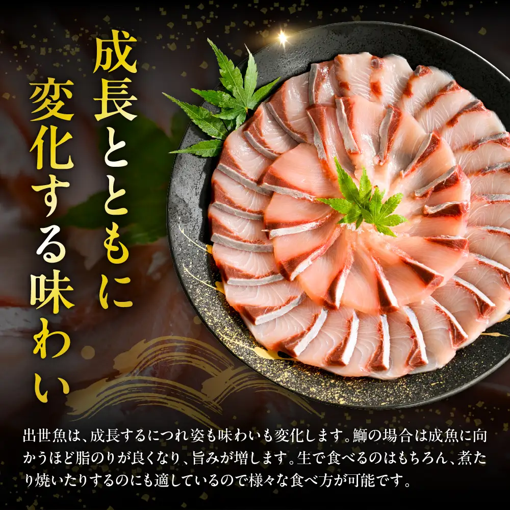 北海道 日高産 ぶり 半身1kg以上