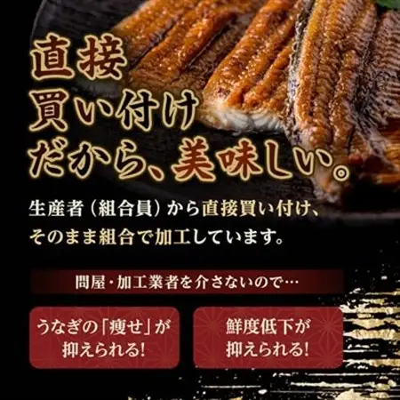 浜名湖産うなぎ　長蒲焼パック3枚入り_うなぎ 鰻 浜名湖産 長蒲焼 美味しい_【配送不可地域：離島】【1386229】