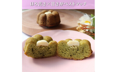 【ふるさと納税】＜おかしの家Repos(ルポ) さかわティグレ＞焼き菓子 個包装 フィナンシェ マドレーヌ リングケーキ 佐川茶 焙じ茶 ほうじ茶 ギフト プレゼント 化粧箱入 菓子職人手作り 保存料不使用【常温】チョコレート ガナッシュ 牧野富太郎 らんまん