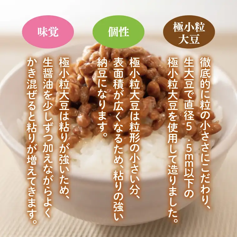 【3ヶ月定期便】【天狗納豆】極小粒パック納豆90g　12個入 ×3回（DQ-9）