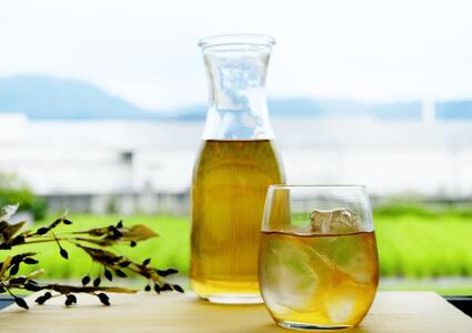 はとむぎ茶 活性はとむぎ美人茶 有機 お徳タイプ180g （3g×60袋） × 6個セット 有機栽培 35-031