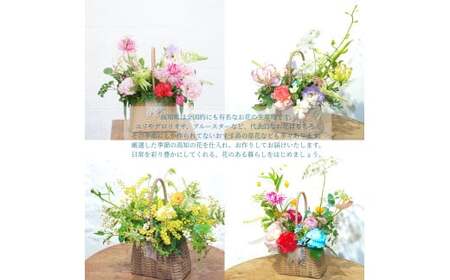 《12ヵ月定期便》季節の生花バスケットフラワーM 