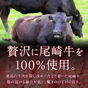 究極のビーフシチュー！フレンチシェフがじっくり煮込んで作った、ビーフシチュー(5食入り)【069-0007】