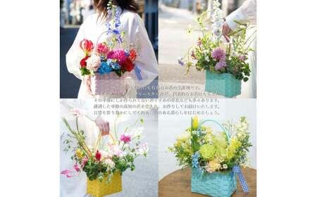 《12ヵ月定期便》季節の生花カラーバスケットフラワーM 
