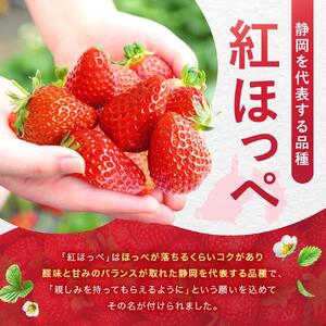 【冷凍】 いちごスムージー（紅ほっぺ）300g×6個  苺 フルーツ◇