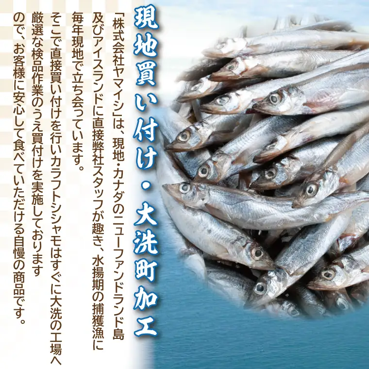 【ふるさと納税】 【定期便】 子持ち カラフトシシャモ ２kg (500g×4袋) 訳アリ シシャモ ししゃも カラフトししゃも 大洗 規格外 訳あり わけあり 傷 半年お届け（2ヶ月に1度 ２kg × 3回 お届け ）_AV020