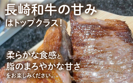【12回定期便】 長崎和牛 サーロインステーキ 250g×2枚 [ECT012]  国産 長崎和牛 和牛 サーロインステーキ サーロイン ステーキ さーろいん 2枚 牛肉 冷凍 ソース付き ギフト お祝い 定期 定期便