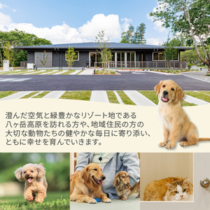 小淵沢IKIGAIペットセンターご利用券（300,000円分）ペットセンター ご利用券 300,000円分 チケット 小淵沢IKIGAI トータルケア施設 動物病院 介護ケア 老犬介護ケア ペットホテル トリミング ワンちゃん ネコちゃん ペット 健康 山梨県 北杜市 八ヶ岳高原 [h307]