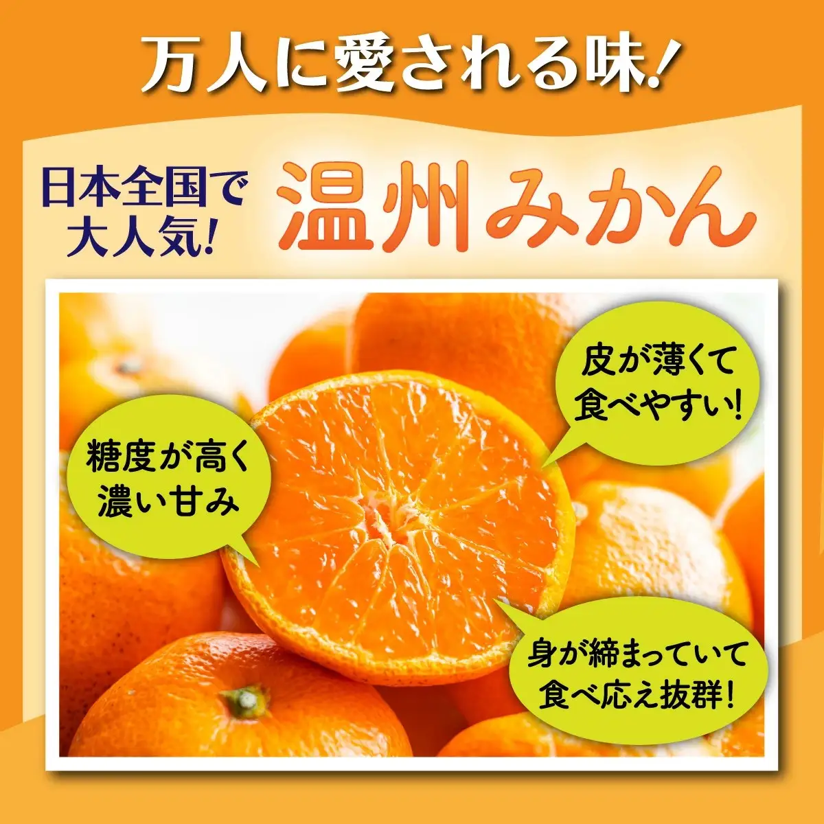 温州みかん 約8kg 佐賀県鹿島産 サイズ混合 | 《先行受付11月上旬より発送予定》みかん ミカン 甘い 小玉含む フルーツ 果物 果実 くだもの 蜜柑 柑橘 国産 冬季 大容量 家庭用 贈答 お取り寄せ 佐賀県 鹿島市 B-804
