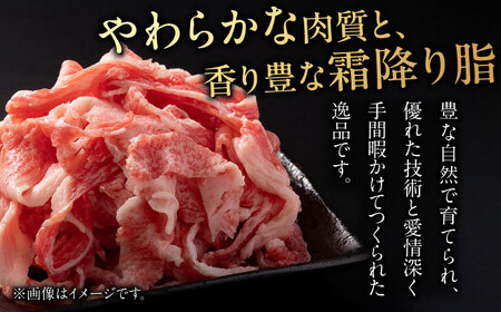 【6回定期便】 飛騨牛 切り落とし 250g×2パック 計500g 等級 部位お任せ すき焼き 鍋 スライス 牛肉 岐阜市 / だるまミート[ANBE015]