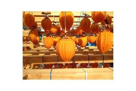 特選　延年蜂屋柿　干し柿