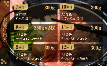 飛騨牛づくし定期便 12回 2人前 定期便 