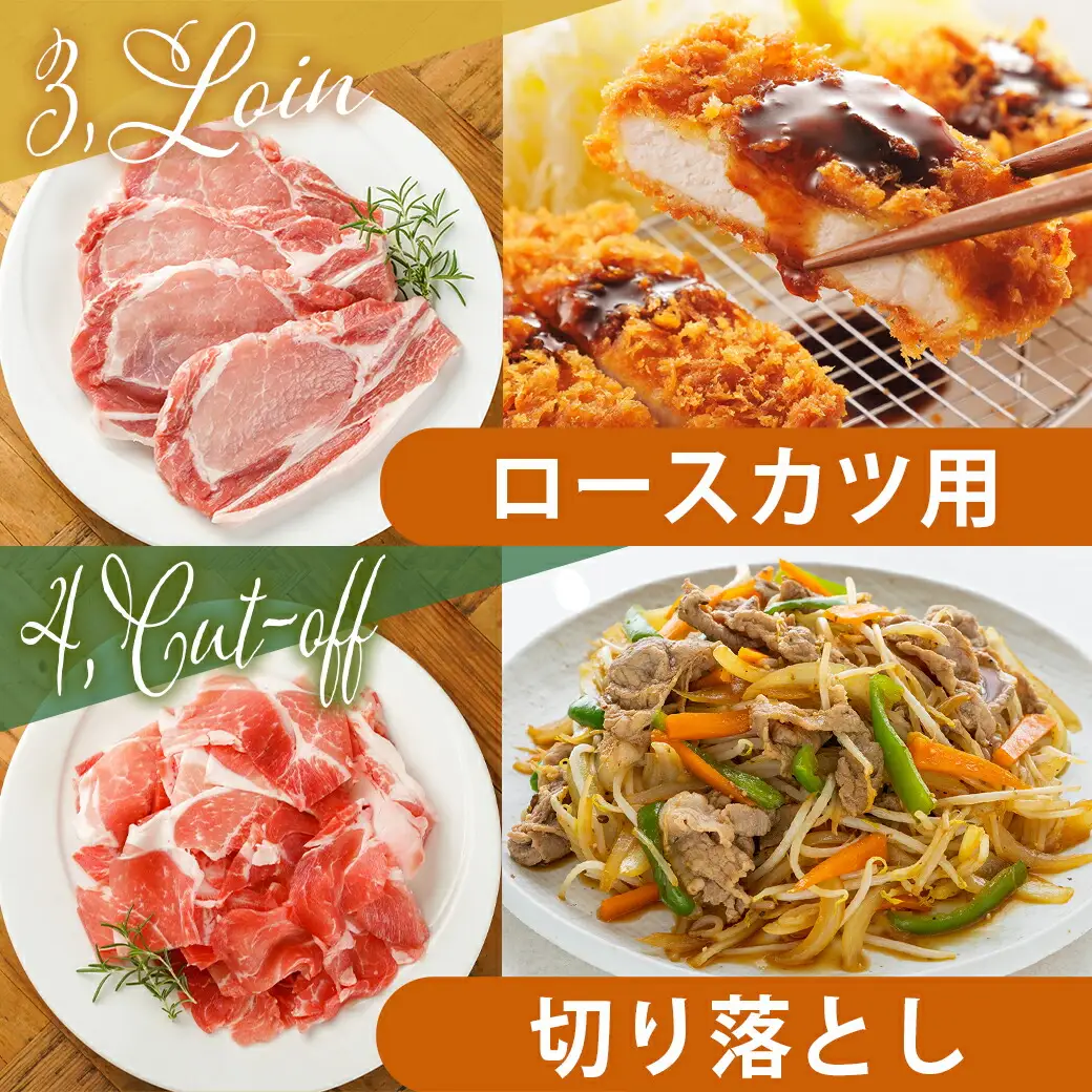 宮崎県産豚肉5kgセット〔AC-M601〕_(都城市) 宮崎県産豚肉 5kgセット ローススライス バラスライス ロースカツ用 切り落とし ミンチ