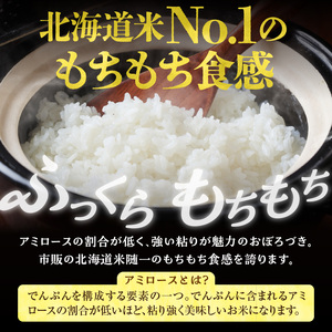【定期便4回】令和7年産 おぼろづき 10kg（5kg×2袋）雨竜産 北海道