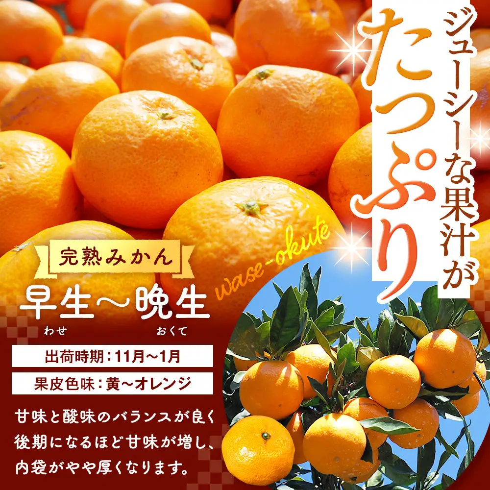 有田みかん 訳あり みかん 約0.9kg  和歌山県産