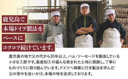 【 訳あり 】 ハム ・ ベーコン セット 600g K038-004 肉 豚肉 惣菜 総菜 冷凍
