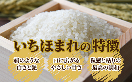【令和7年産】福井県産 いちほまれ（白米）5kg [A-097001]