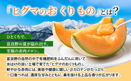 【2026年夏発送】富良野産 ヒグマのおくりもの(メロン)[4玉 計8kg以上]フルーツ 果物