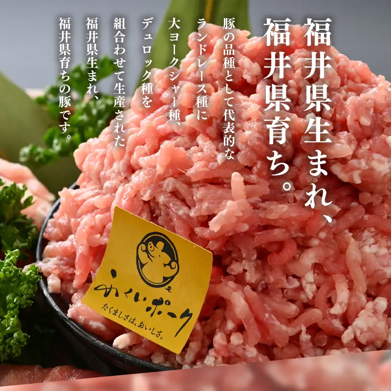 【ブランド豚】ふくいポーク 100％ ミンチ肉 500g  ひき肉  国産豚 [e02-a023]