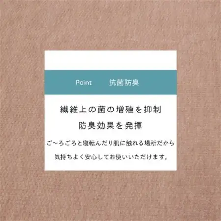 カーペット 日本製 抗菌防臭 軽量薄手 ジェミニ 352×440cm 江戸間 10畳用 ベージュ【1556114】