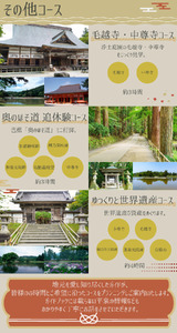 世界遺産の街 平泉町を巡る 歴史探訪ツアー ガイドコースプランニング 2時間 中尊寺 毛越寺 金鶏山 俳句 松尾芭蕉 奥州藤原氏 達谷窟毘沙門堂 体験 ツアー 岩手県 一関 平泉 奥州 北上 大船渡 気仙沼 東北【kto937-gde-2】