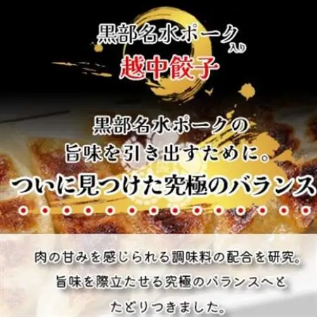 黒部名水ポーク入り越中餃子　3パック(48個入り)_惣菜・加工品 餃子  ぎょうざ ギョウザ_【配送不可地域：離島】【1558250】