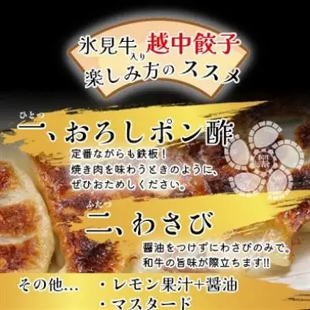 氷見牛入り越中餃子　3パック(48個入り)_惣菜・加工品 餃子  ぎょうざ ギョウザ_【配送不可地域：離島】【1558389】