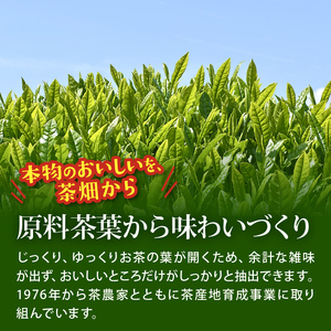 緑茶【定期便6か月】お~いお茶 緑茶 PET1L×12本