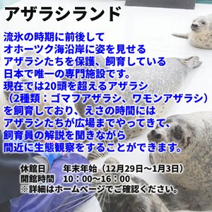 24-122 ガリンコ号3 IMERU 冬期運航 流氷クルーズ乗船券（3施設入場券セット）
