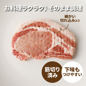 贅沢宮崎県産豚肉ロース100gカット10枚_K16_0149_1