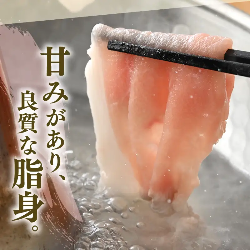 【ブランド豚】ふくいポーク ロース薄切 1.8kg 国産豚肉 冷凍 [e02-b012]