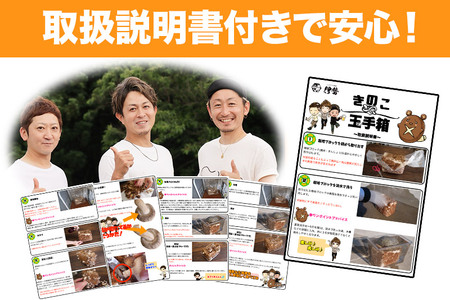 しいたけ 椎茸栽培キット「きのこ玉手箱」約3kg ブロック×2個 [椎茸 しいたけ シイタケ 栽培キット 菌床ブロック 自由研究 簡単]
