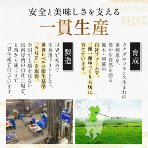 FKK19-972_馬刺し赤身ユッケ10個セット 馬刺し 赤身 ユッケ 肉 馬肉