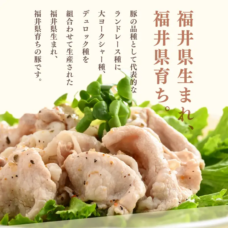 【ブランド豚】ふくいポーク 肩ロース薄切 900g 国産豚肉 冷凍 [e02-a029]