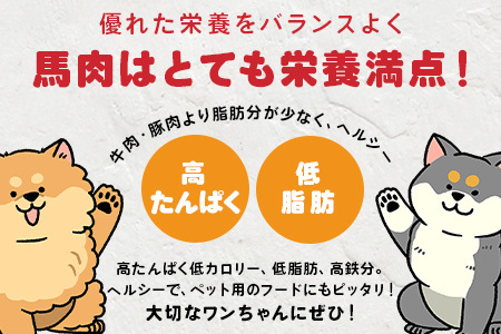ペット用 熊本加工 馬肉 切り落とし 【1kg】 ドッグ フード 無添加 無香料 ヘルシー 高栄養 馬刺し 1キロ お肉専門店 熊本県 冷凍 国内加工 041-0501