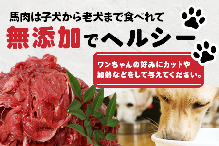 【定期便12回】ペット用 熊本加工 馬肉 切り落とし【 1kg ×12回配送 】 合計 12キロ ドッグ フード 無添加 無香料 ヘルシー 高栄養 馬刺し 冷凍 お肉専門店 熊本県 国内加工 1年 定期便 041-0504