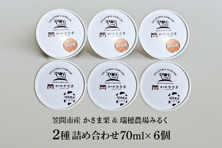笠間市 ジェラート ミルク 笠間くり 2種詰め合わせ 6個セット 道の駅かさま JQ-003