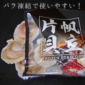 【海鮮BBQにおすすめ】北海道産 ほたて片貝 10枚 ウロ処理済み 洗浄済み殻つき 下処理済 バター焼き ご飯 冷凍 旬 おつまみ 海鮮 せたな町 ふるさと納税