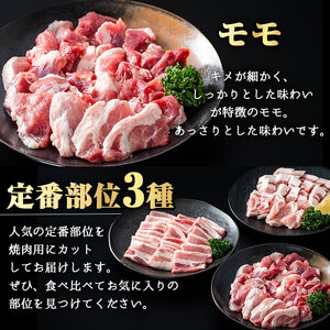 かごしま 味わい 黒豚 さつま 焼肉 コース (合計900g)【KNOT】A552